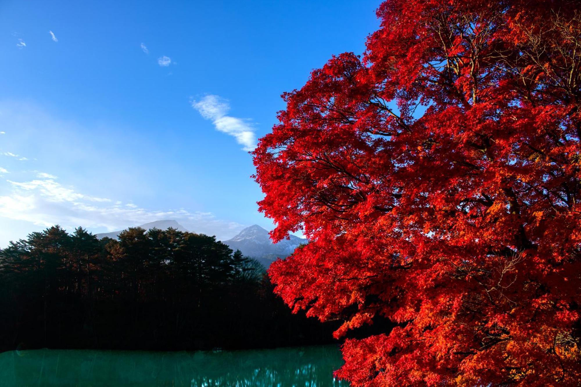 Mercure Urabandai Resort & Spa 北塩原村 エクステリア 写真